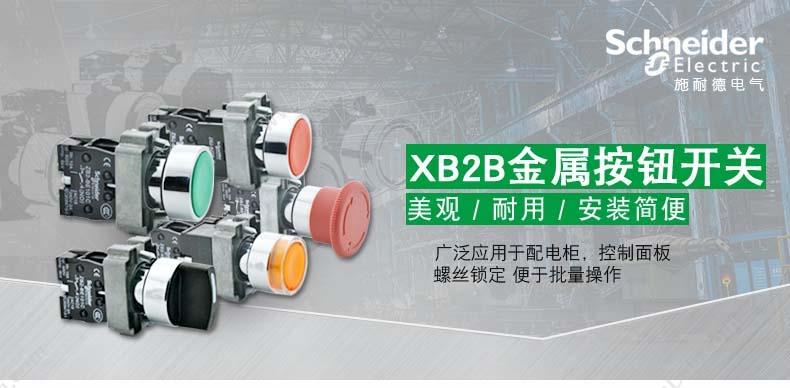 施耐德 Schneider XALB02C XB2（2孔） 按钮盒