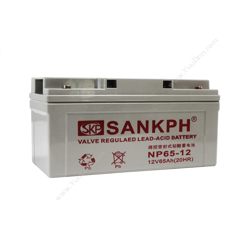 山盾 Sankph 免维护   NP12-65AH UPS电源