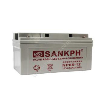 山盾 Sankph 免维护   NP12-65AH UPS电源