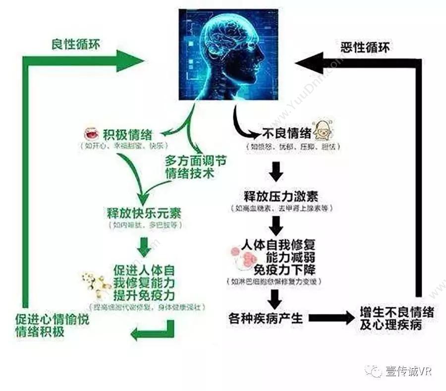 广州壹传诚信息 为什么VR禁毒体验能让你噪骨痛、关节痛的噩耗？ 卡券管理