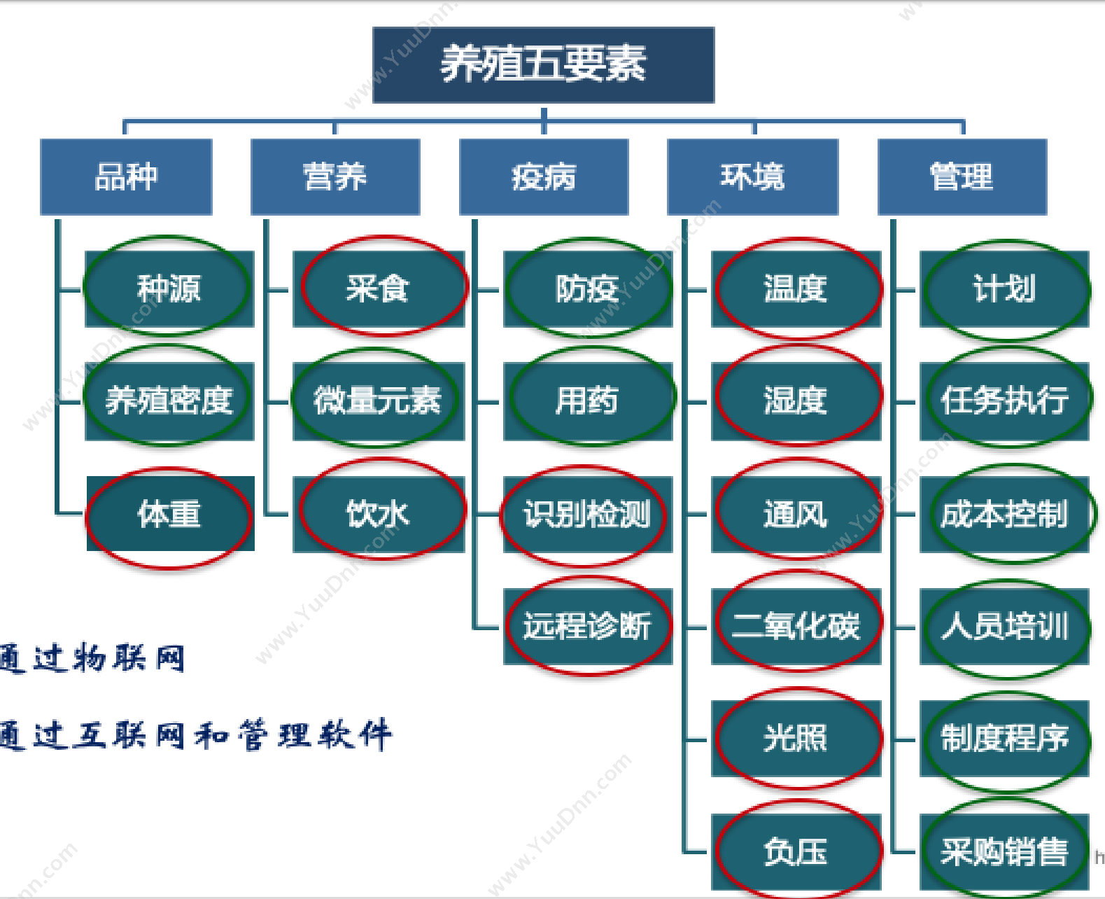 MTC养鸡管理系统EasyFarm.png