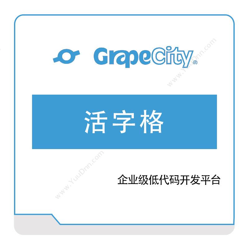 葡萄城 GrapeCity 活字格 低代码