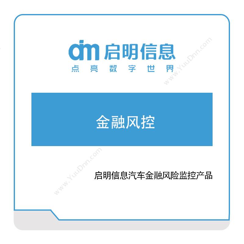 长春一汽启明信息 启明信息金融风控 金融软件