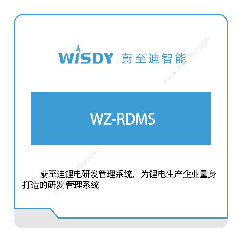 蔚至迪智能 WZ-RDMS CPS