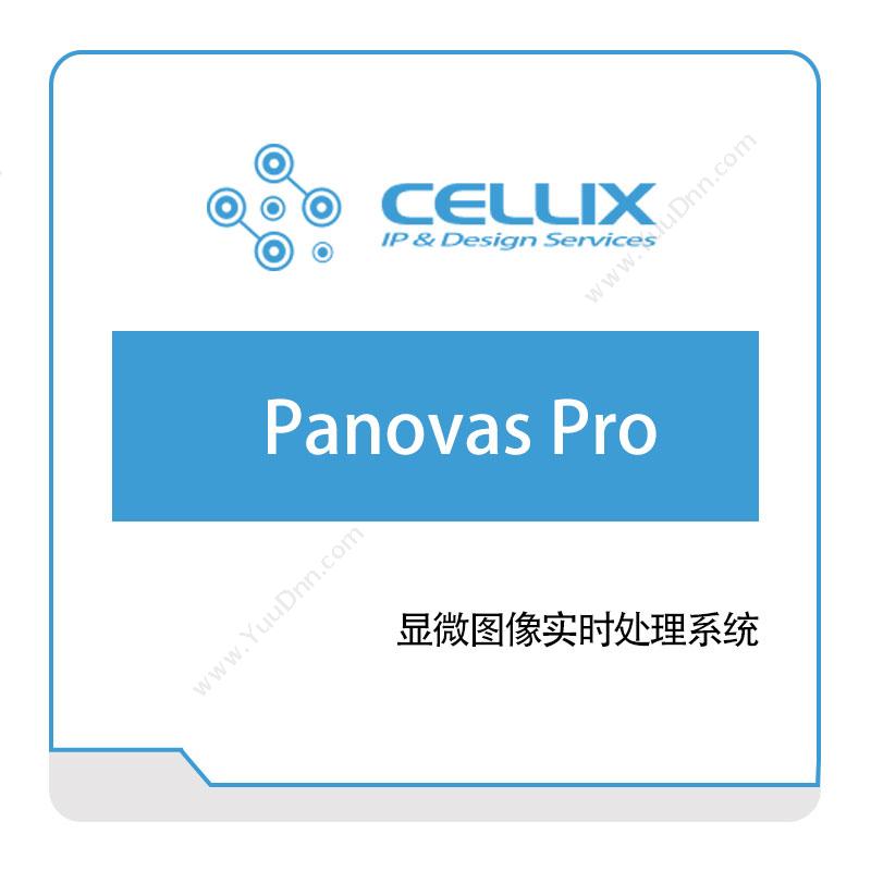 芯愿景 Panovas-Pro IC设计