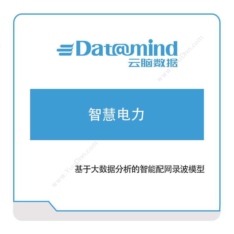 云脑数据 云脑数据智慧电力 电力软件