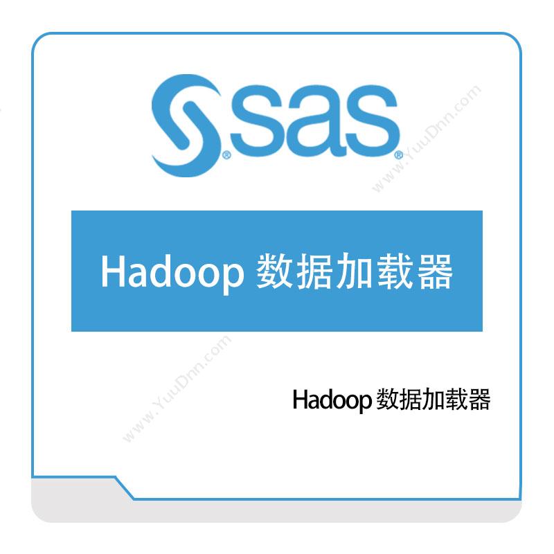 赛仕软件 SAS Hadoop-数据加载器 数据管理