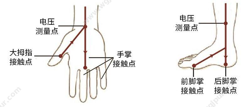 汇医融工HYRG BC care 830 人体成分分析