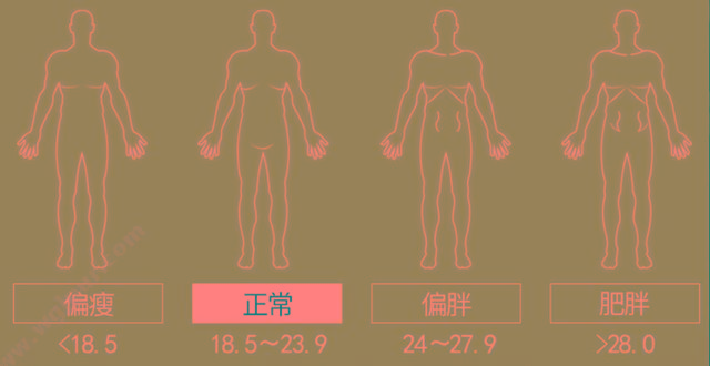 贝雅 超声波体脂分析仪 BYH07 身高体重秤