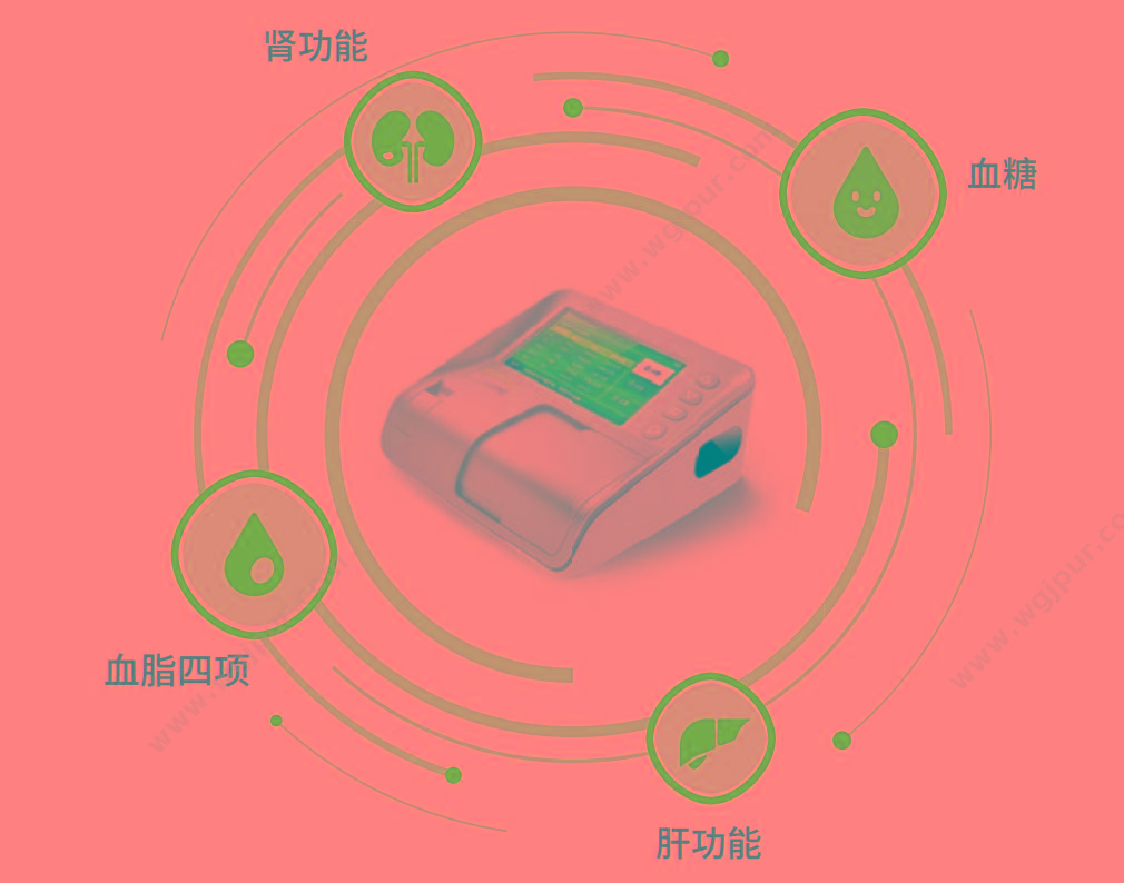 康尚 Konsung 干式生化分析仪 Compass2000-2 生化分析仪