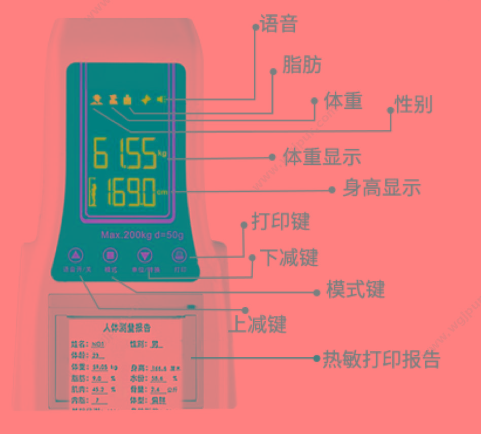 贝雅 超声波体脂分析仪 BYH07 身高体重秤