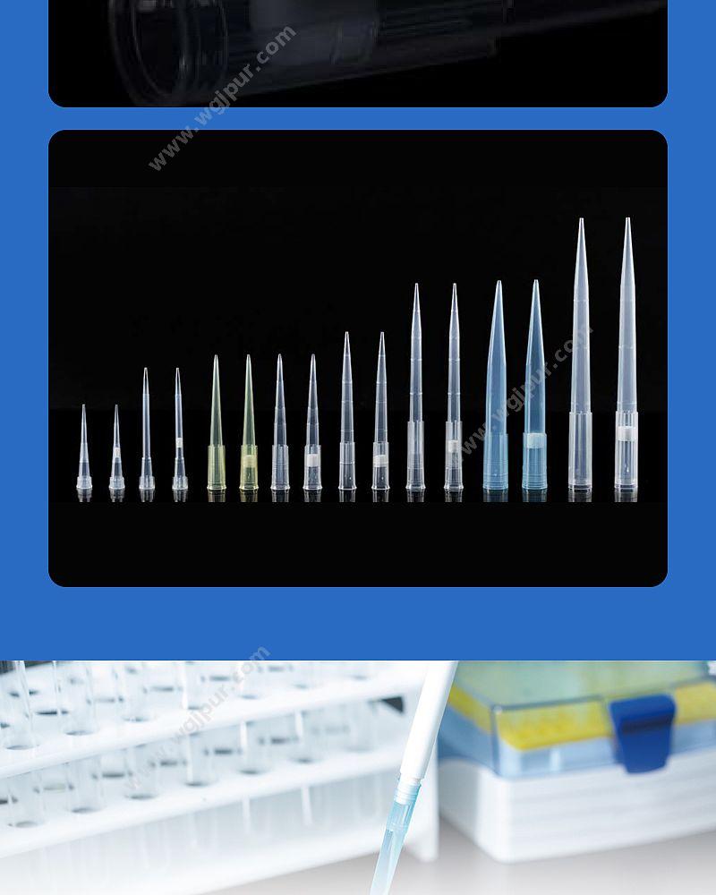 徕谱 Labtrip 袋装滤芯吸头 20μl（1000支/包） CT20-1-DZ 移液吸头