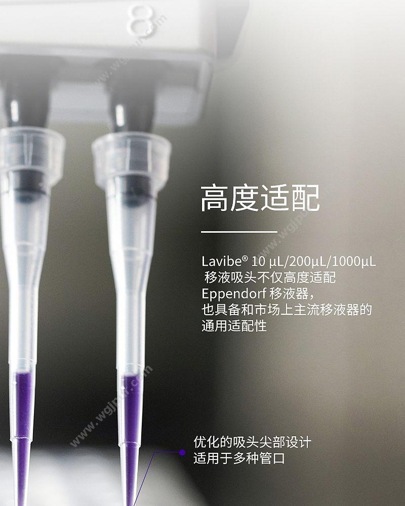 乐斐 LAVIBE 吸头 1000微升 蓝色 （袋装） 2244010003 移液吸头